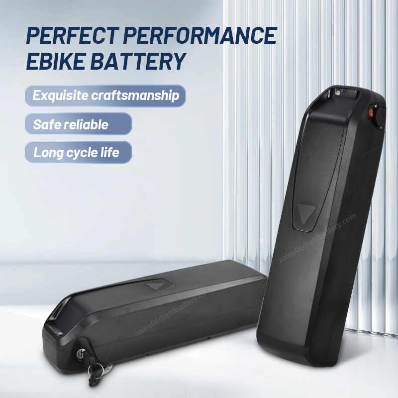 ALX Hailong batteria ebike 36v - Ebike Battery 48V 20Ah Hailong recensione e prezzo